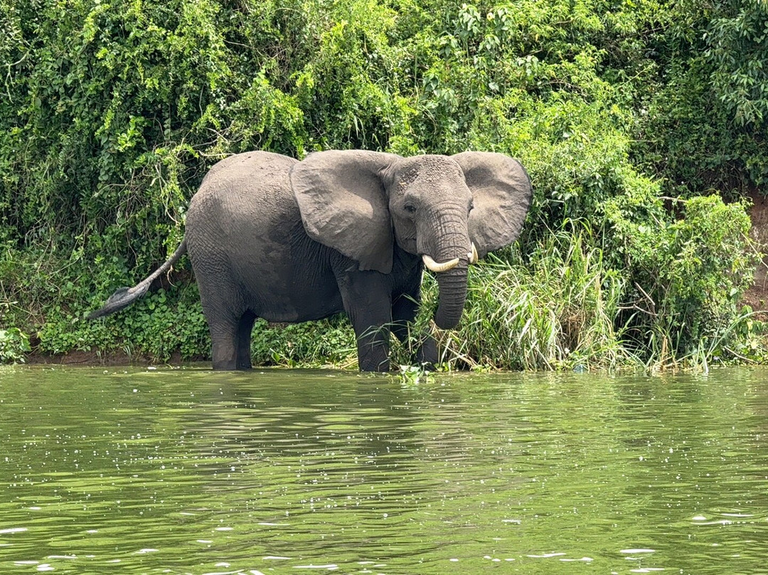 Encounter Africa Safaris-恩德培必去景点