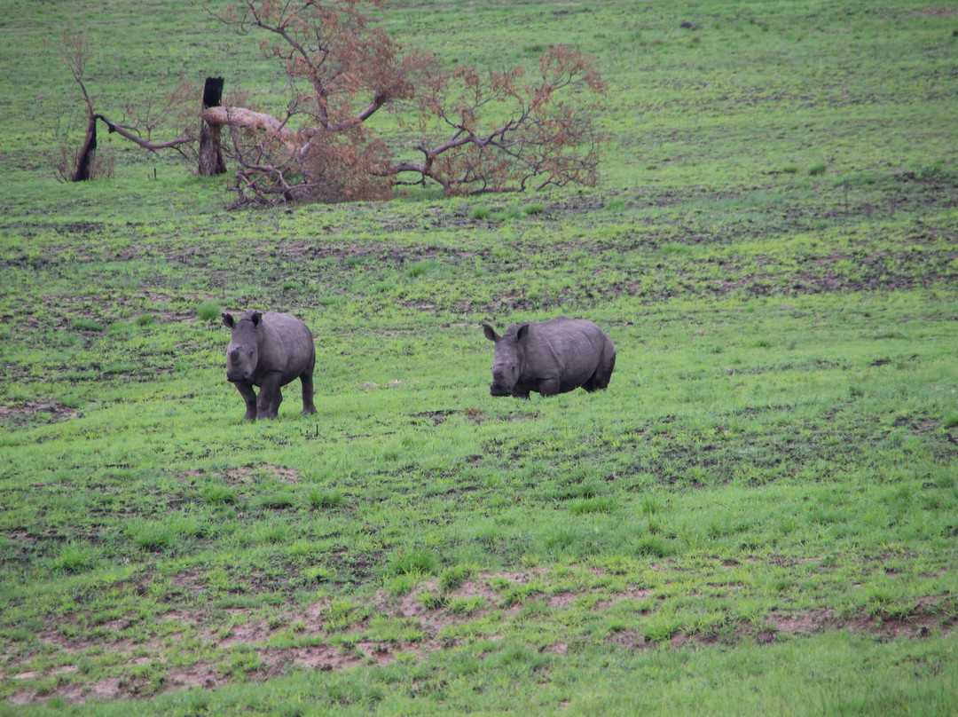 Babanango Valley Lodge主图
