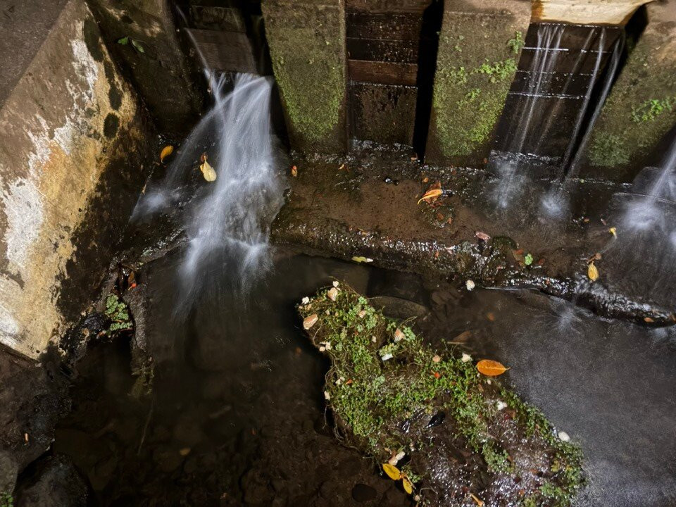 Tahiti Welcome Tours-阿鲁埃必去景点