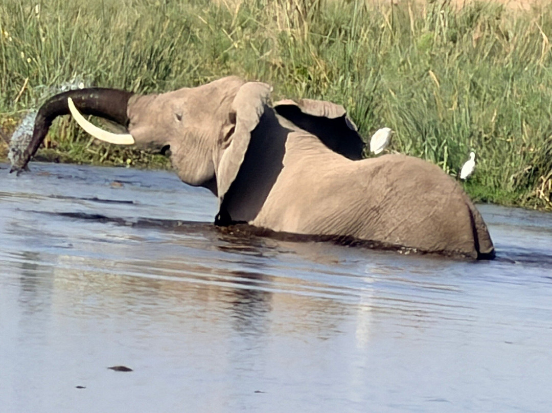 Ajkenyasafaris.com Ltd-Ruiru必去景点