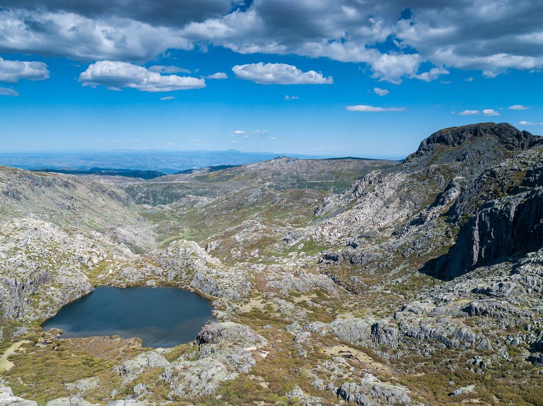 Wildlife Portugal-Guarda必去景点