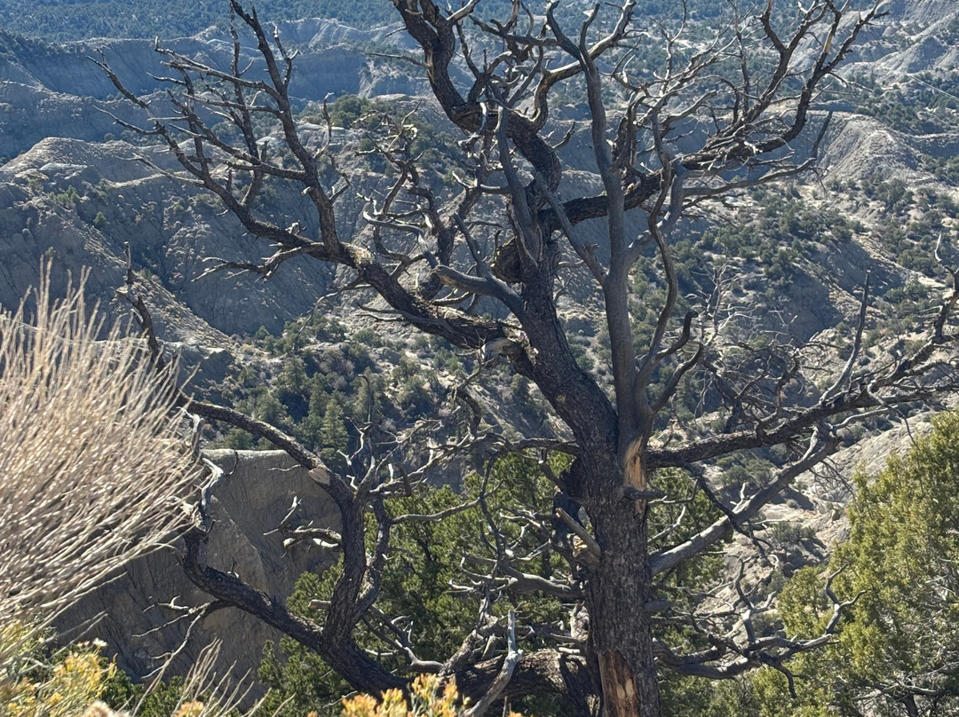 Scenic Byway 12-埃斯卡兰特必去景点