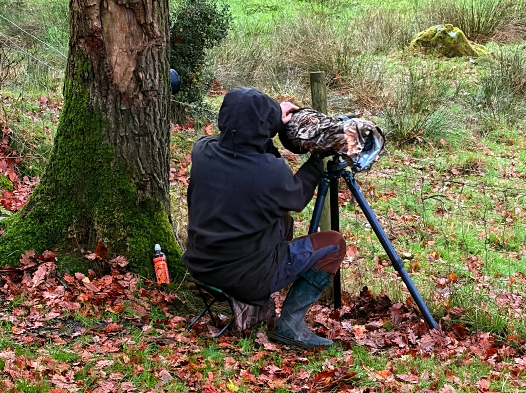 Robert Fletcher Wildlife Artist Studio & Aviaries-Satterthwaite必去景点