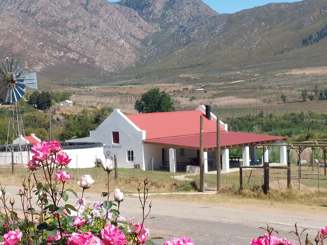 Montagu Pass-乔治必去景点