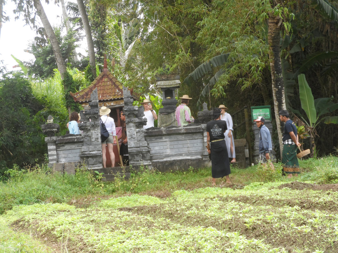 Bali Agritours-阿比安塞马尔必去景点