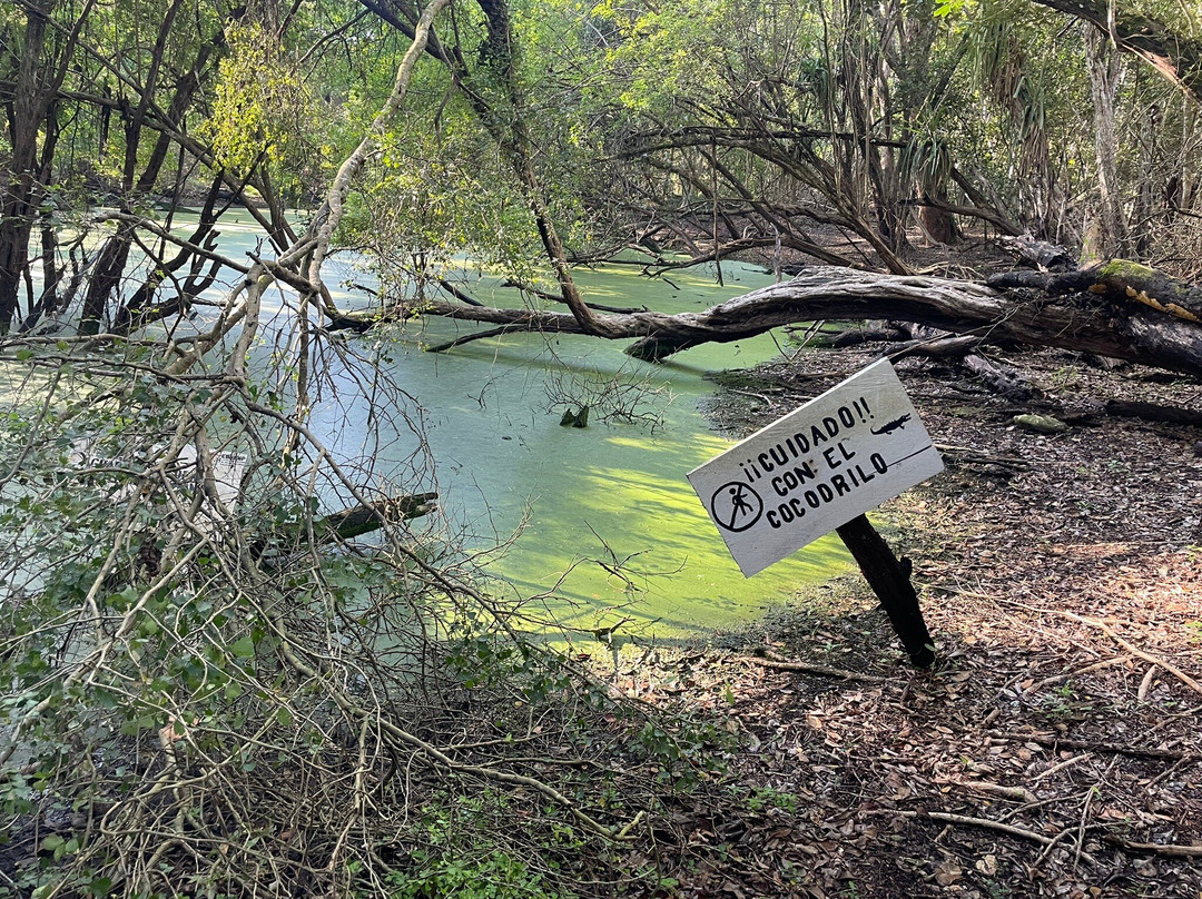 Calakmul Adventures day tours-Xpujil Town必去景点