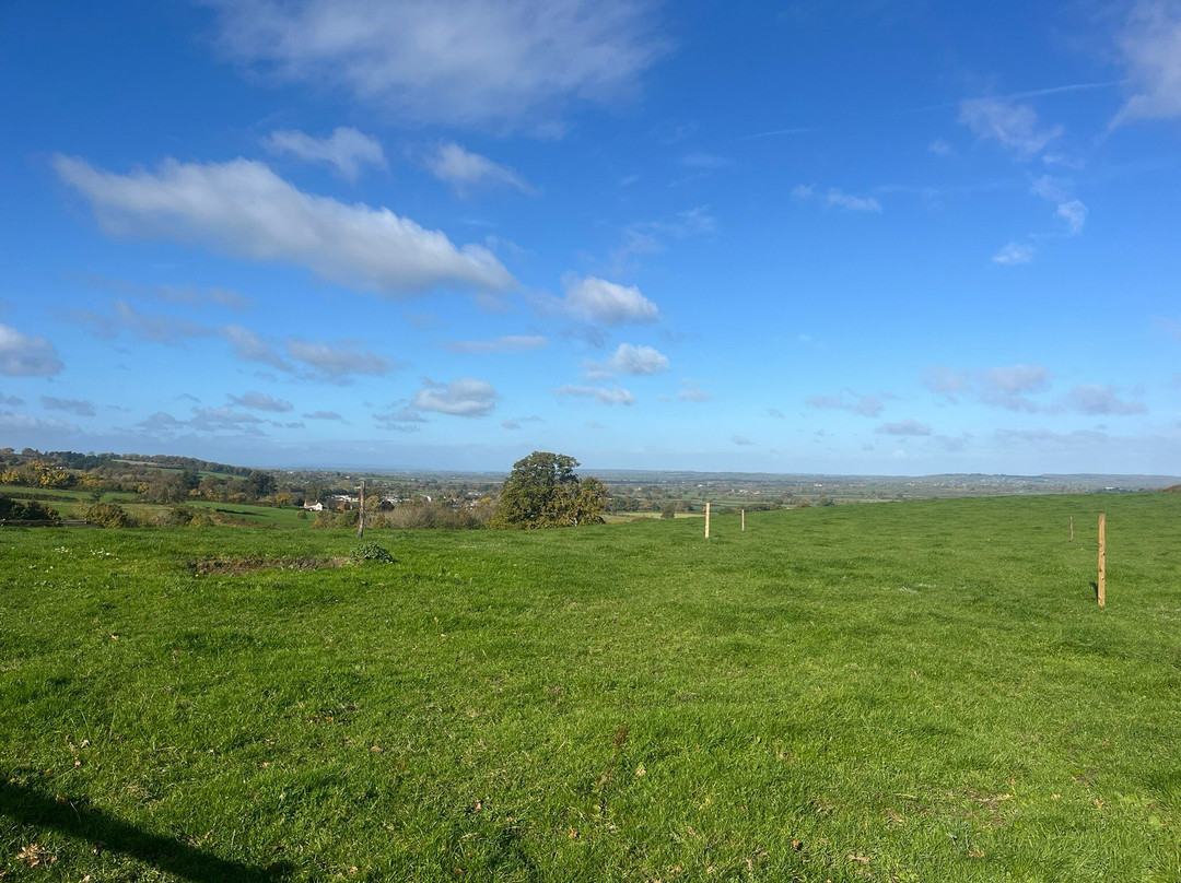 农家庭院旅馆主图