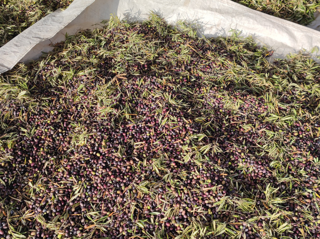 Monte da Estrela Country House & Spa主图