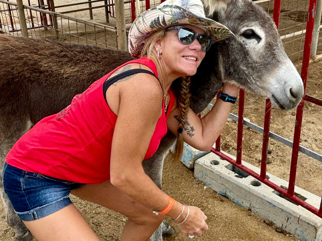 Donkey Sanctuary Aruba-Santa Cruz必去景点
