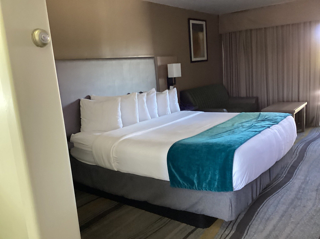 Los Viajeros Inn主图