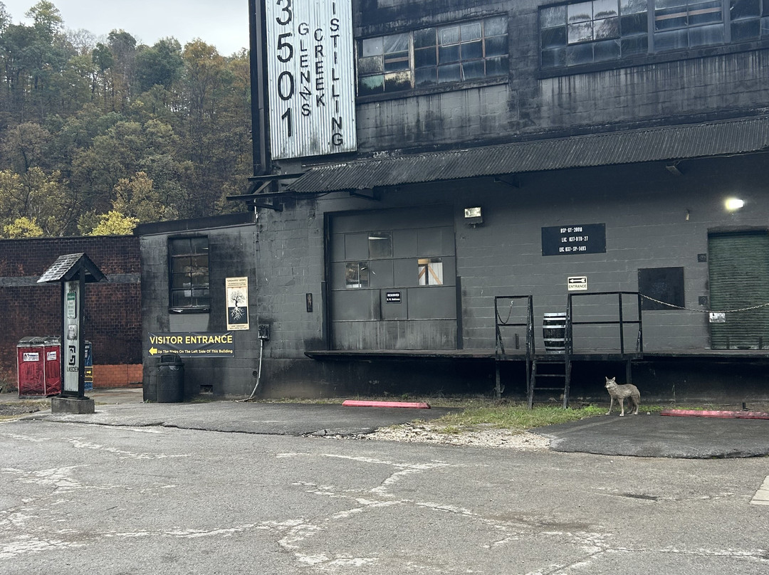 Glenns Creek Distillery-法兰克福必去景点