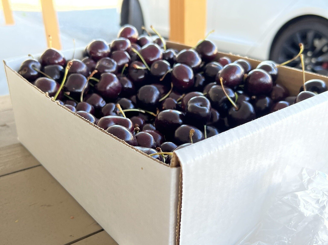 Peach King Fruit Stand-Keremeos必去景点
