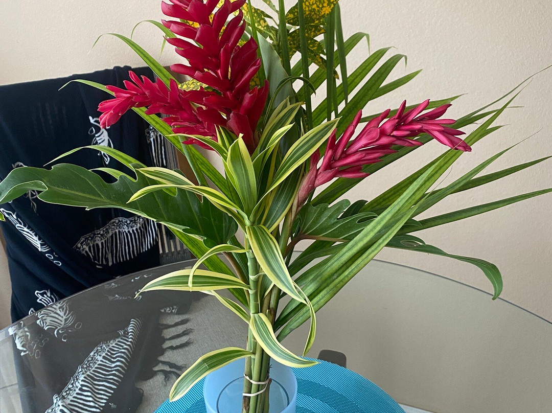 South Maui Gardens-基黑必去景点