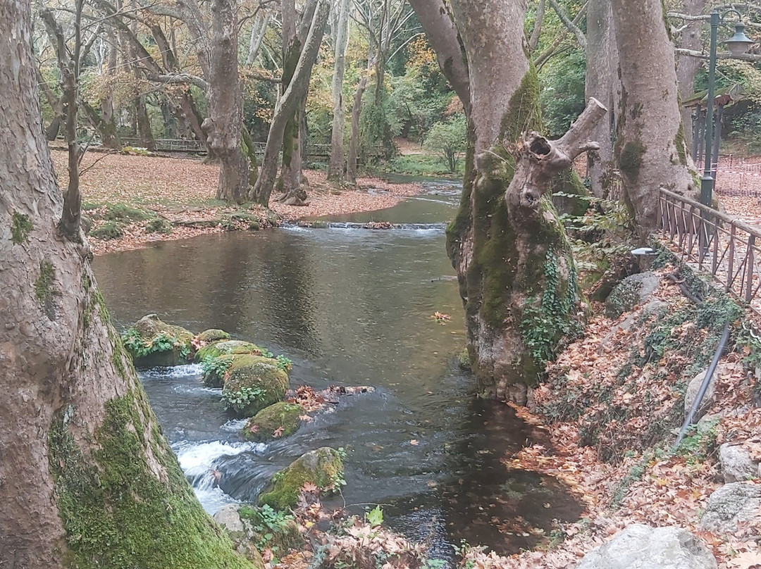 Agios Nikolaos Park-Naousa必去景点