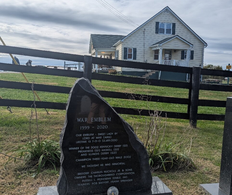 Old Friends at Dream Chase Farm-Georgetown必去景点