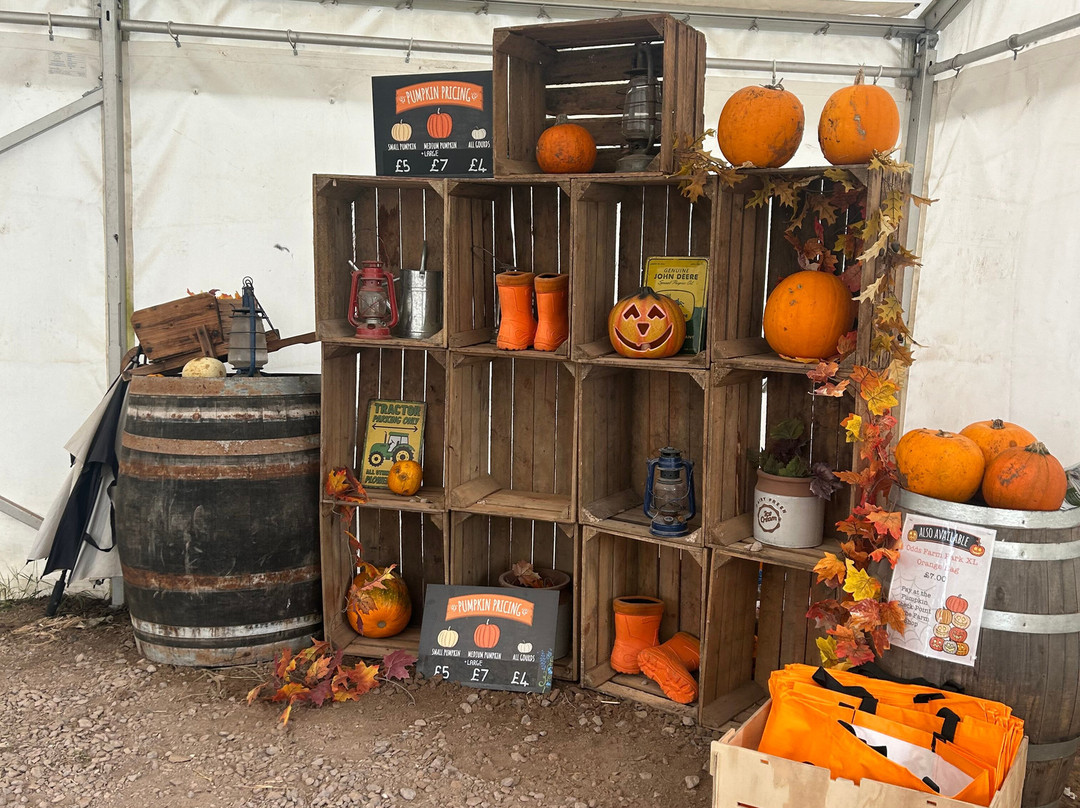 Odds Farm Park-海威科姆必去景点