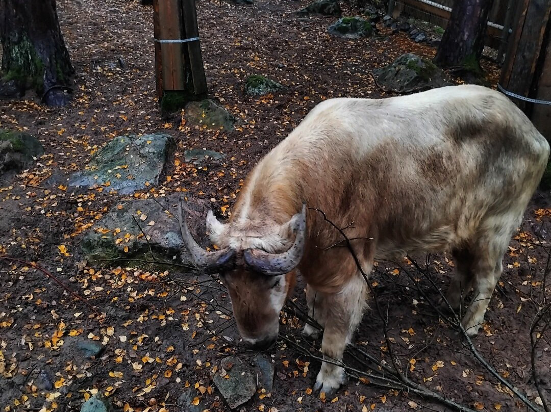 Furuviksparken-Furuvik必去景点