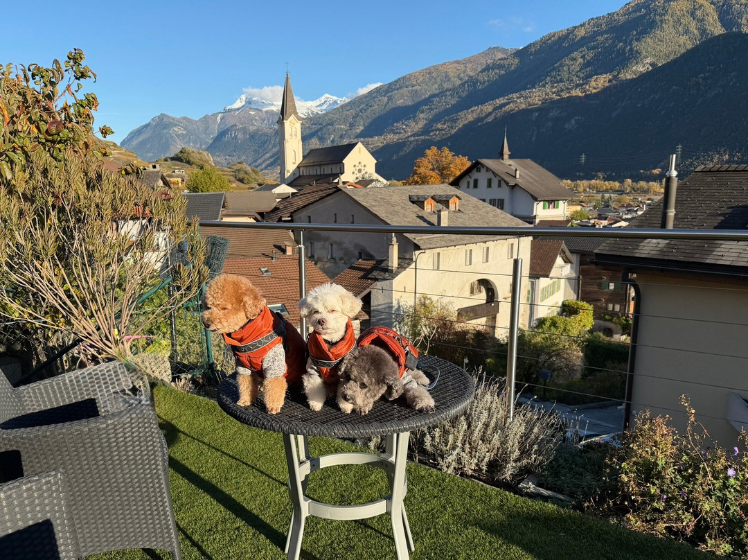 Guesthouse Petit Pré