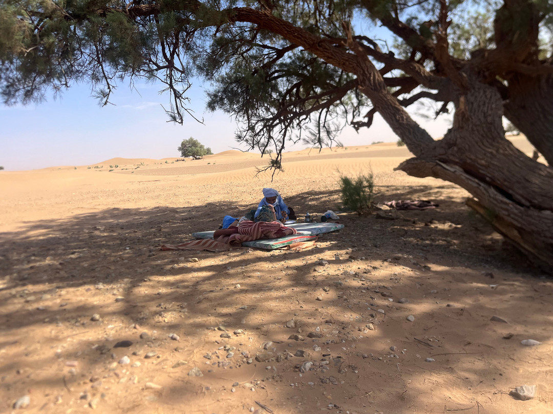 Sahara Wonders-迈哈米德必去景点