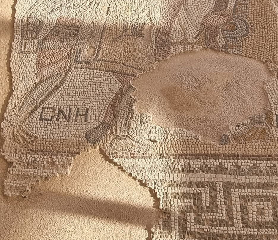 Local Archaeological Kourion Museum-Episkopi必去景点