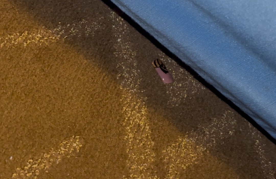 American Inn And Suites Dundee主图