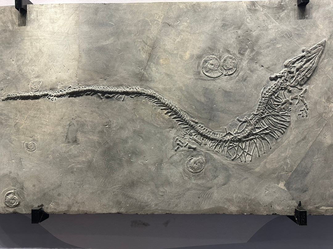 安顺地区博物馆-安顺市必去景点