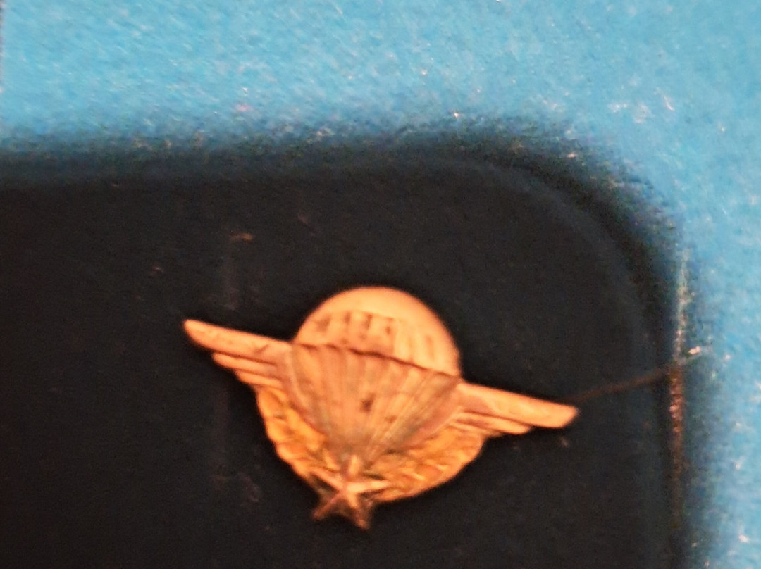 Saut en Parachute Merville-Merville必去景点