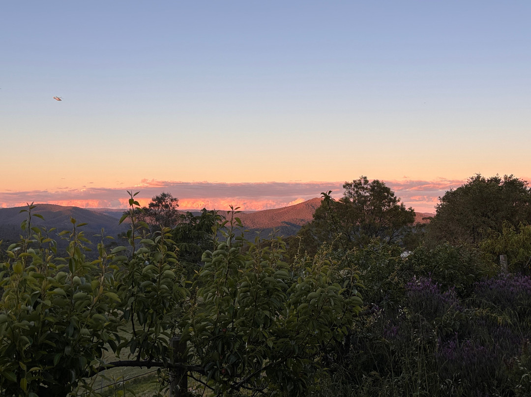 Springmead B&B主图