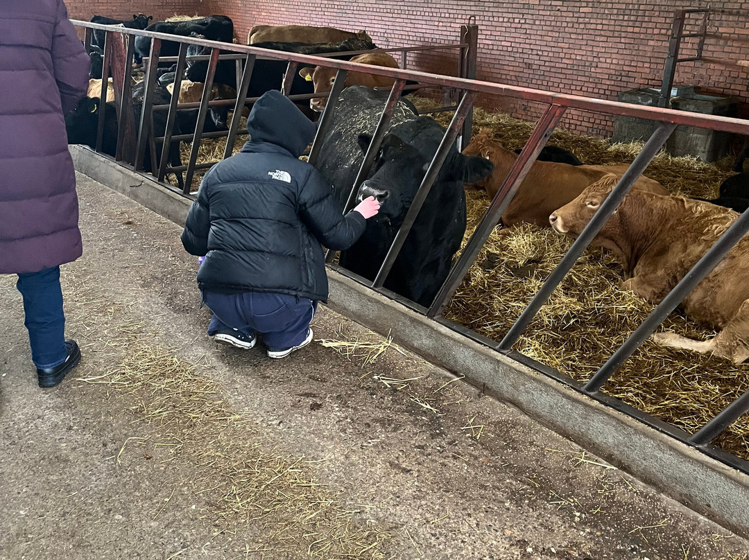 Newton Farm Holidays & Tours主图