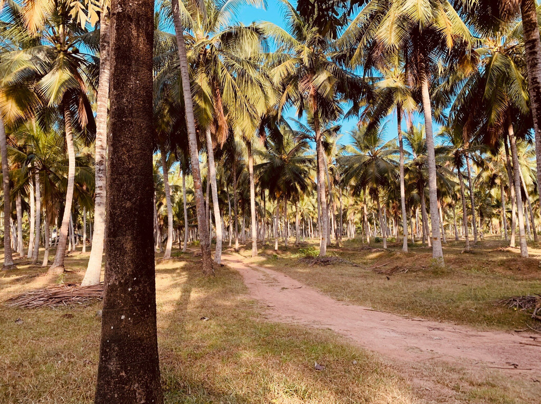 Horathapola Estate主图