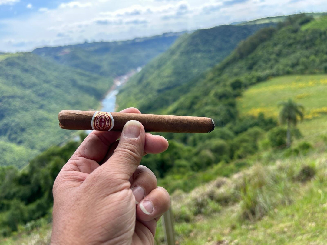 Adega Dom Camilo-Nova Padua必去景点