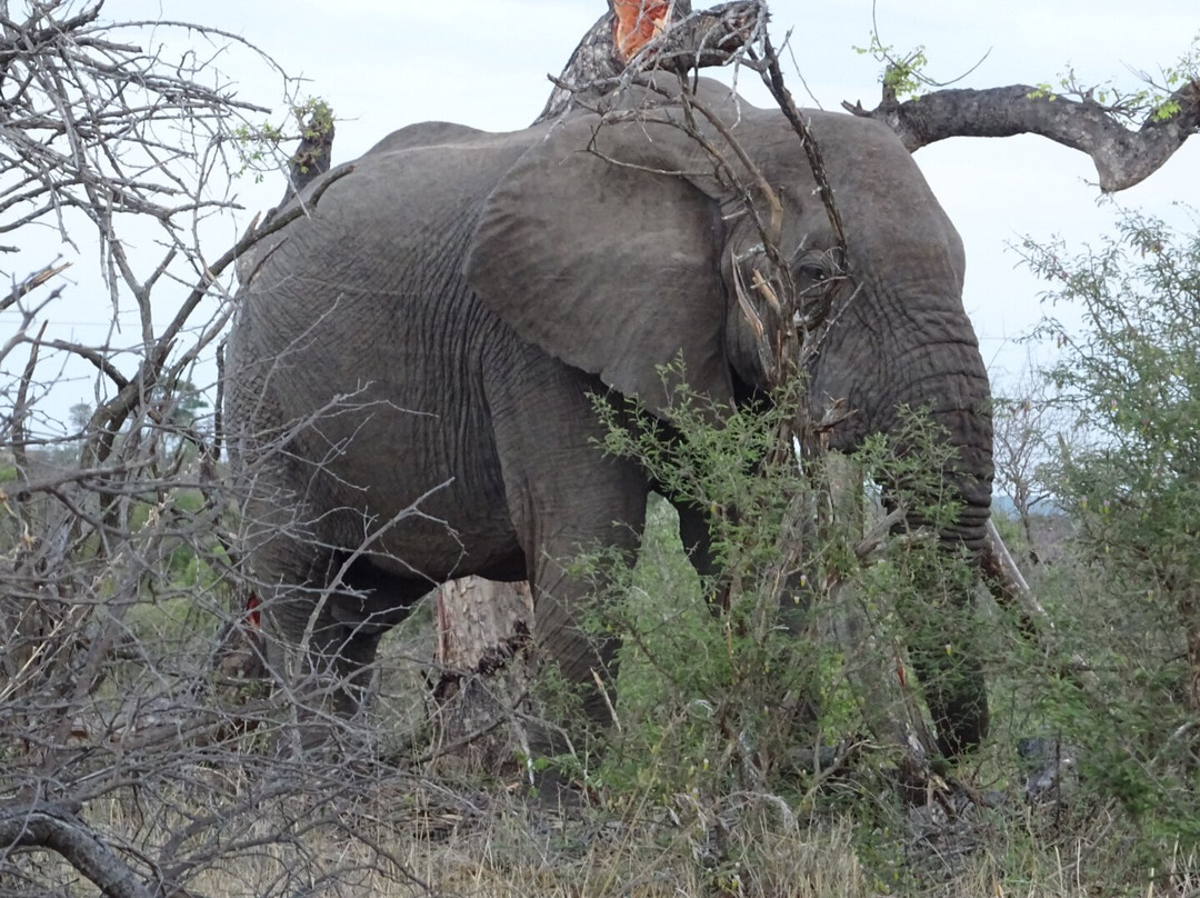 Stones Safaris-霍德斯普鲁特必去景点