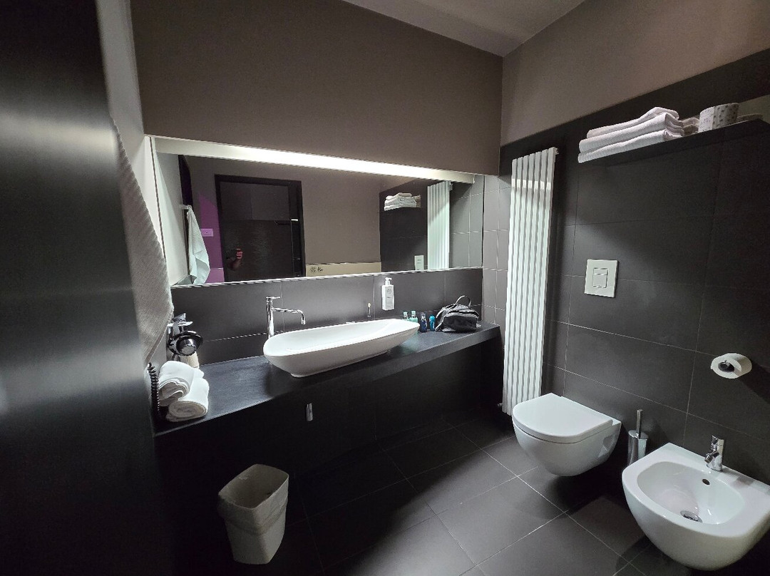 皮内塔酒店主图