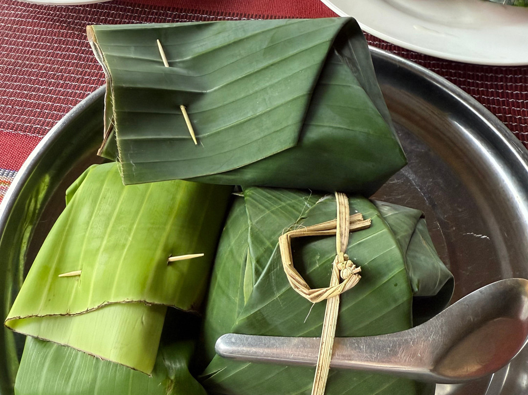 Elephant Freedom Village-清迈必去景点