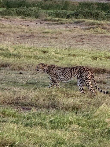 Mastrolindo Escursioni e Safari Kenya