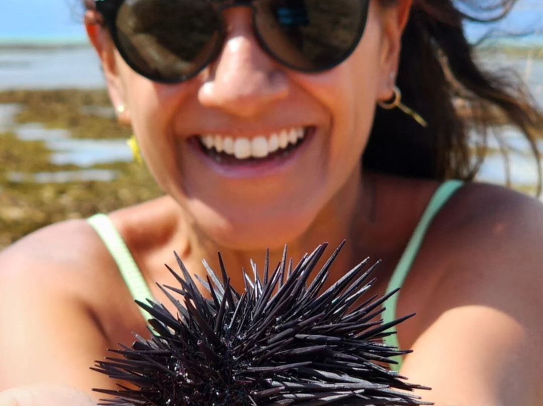 Piscinas Naturais De Pajucara-Maceio必去景点