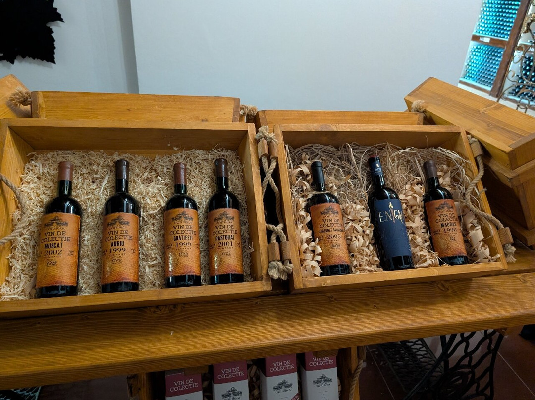 WineTours Moldova-基希讷乌必去景点