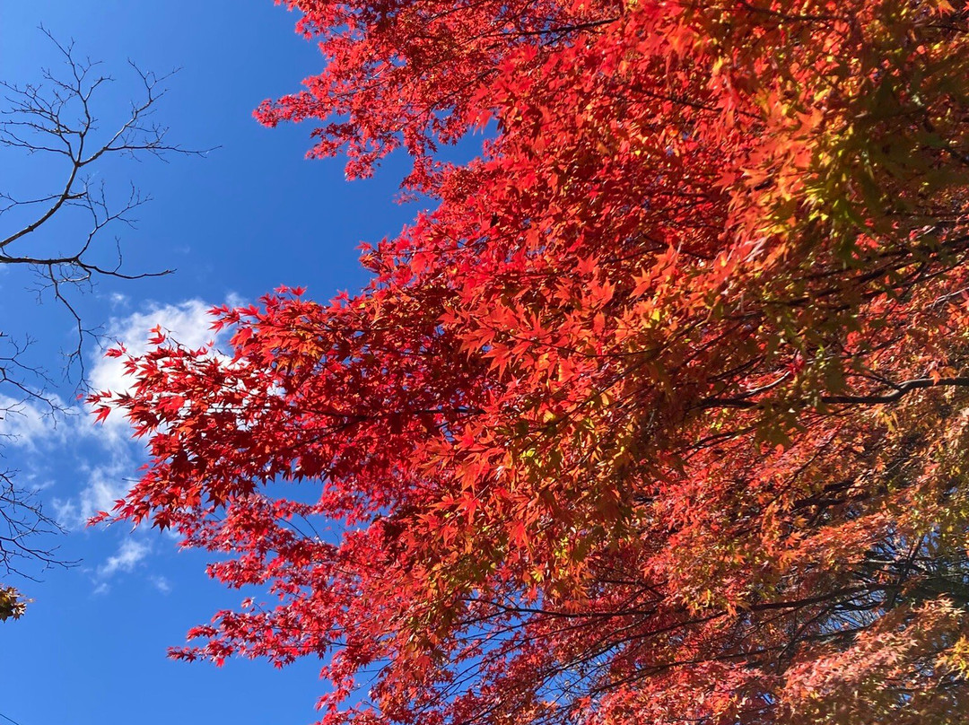 Musée Ando À Karuizawa-轻井泽町必去景点