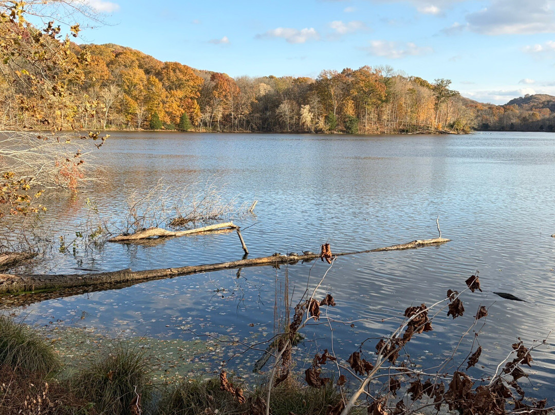 Radnor Lake State Park-纳什维尔必去景点