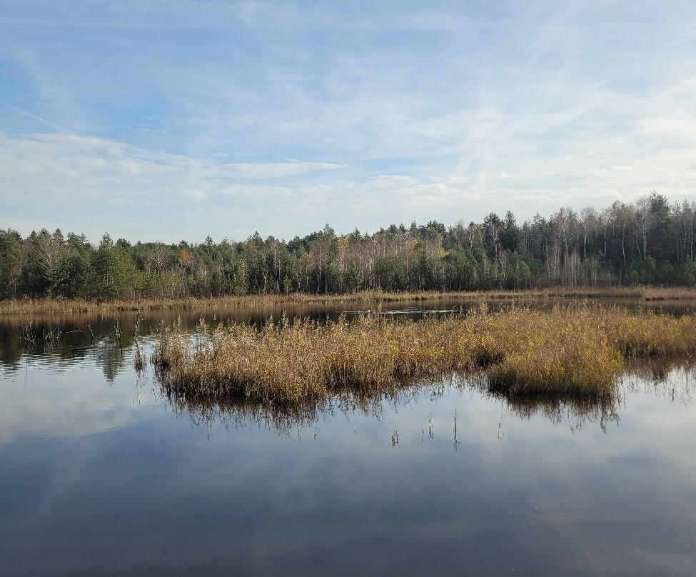 Vogelparadies Weidmoos-Lamprechtshausen必去景点