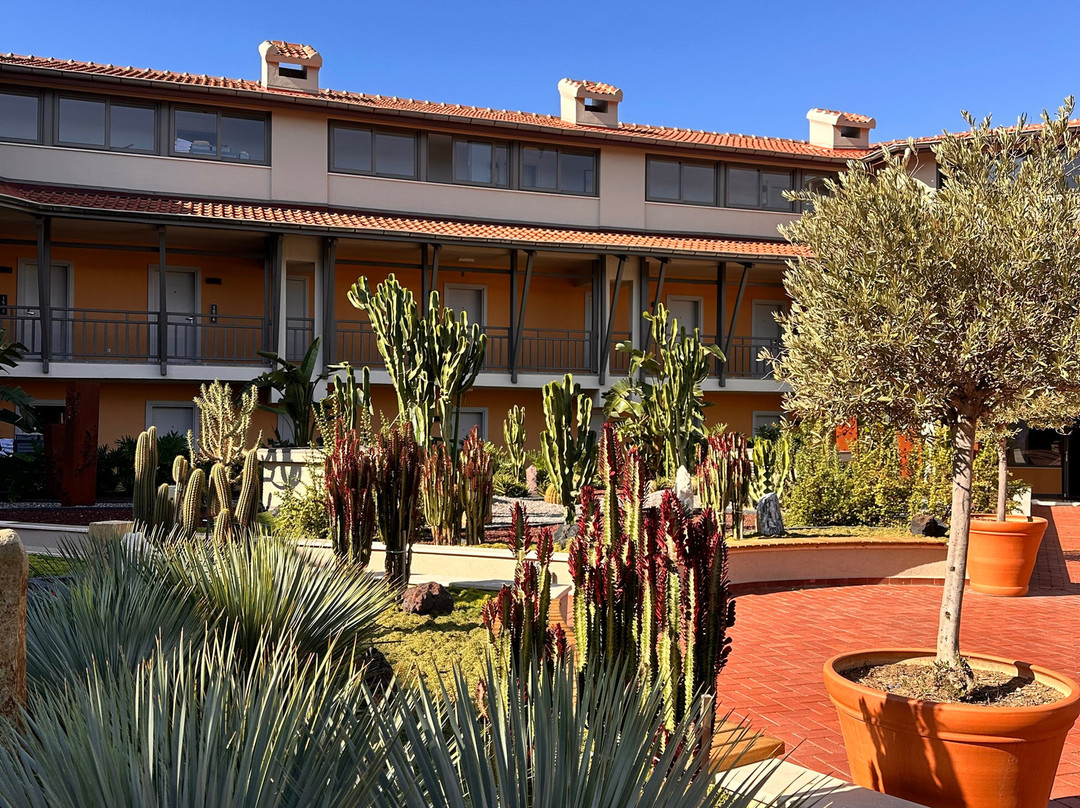 Arum Barut Collection主图