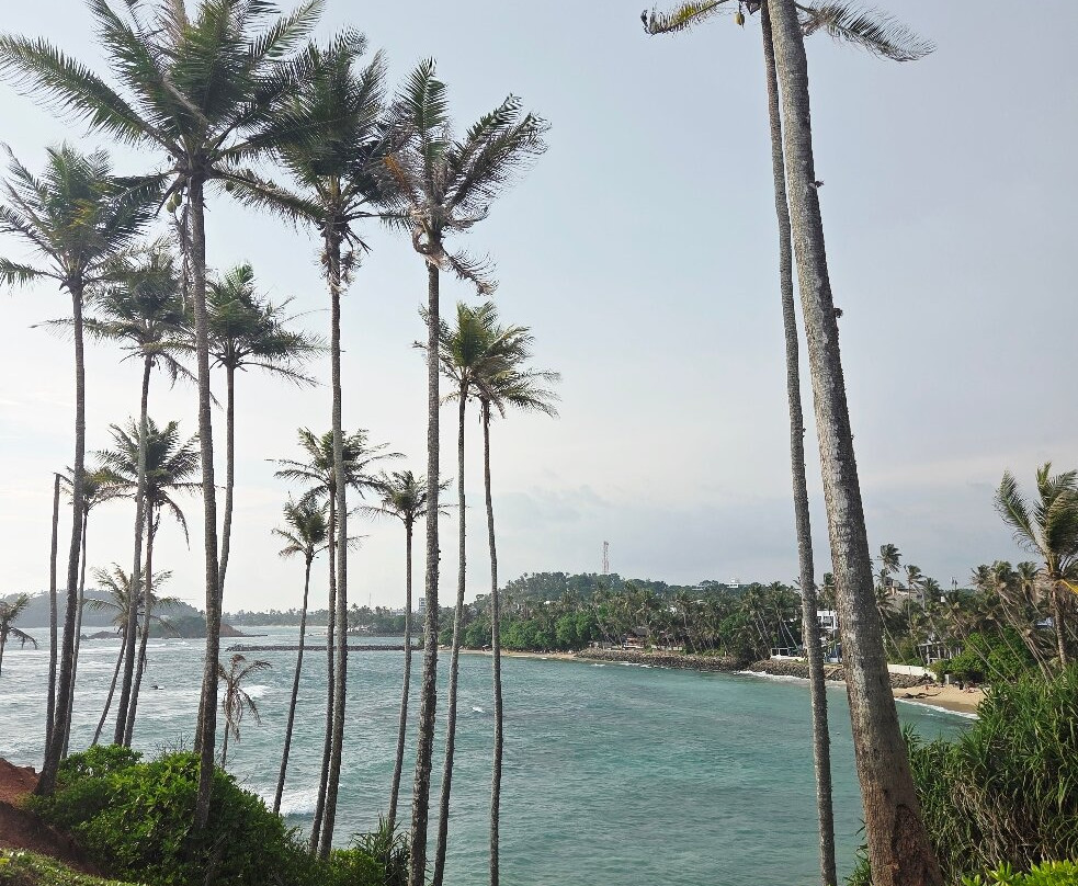 Coconut Tree Hill-美蕊沙必去景点