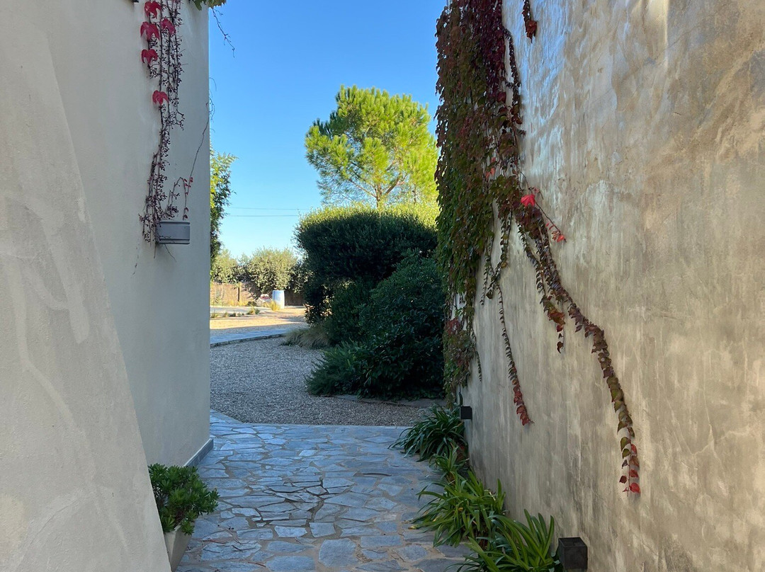 Boutique Hotel Can Pico主图