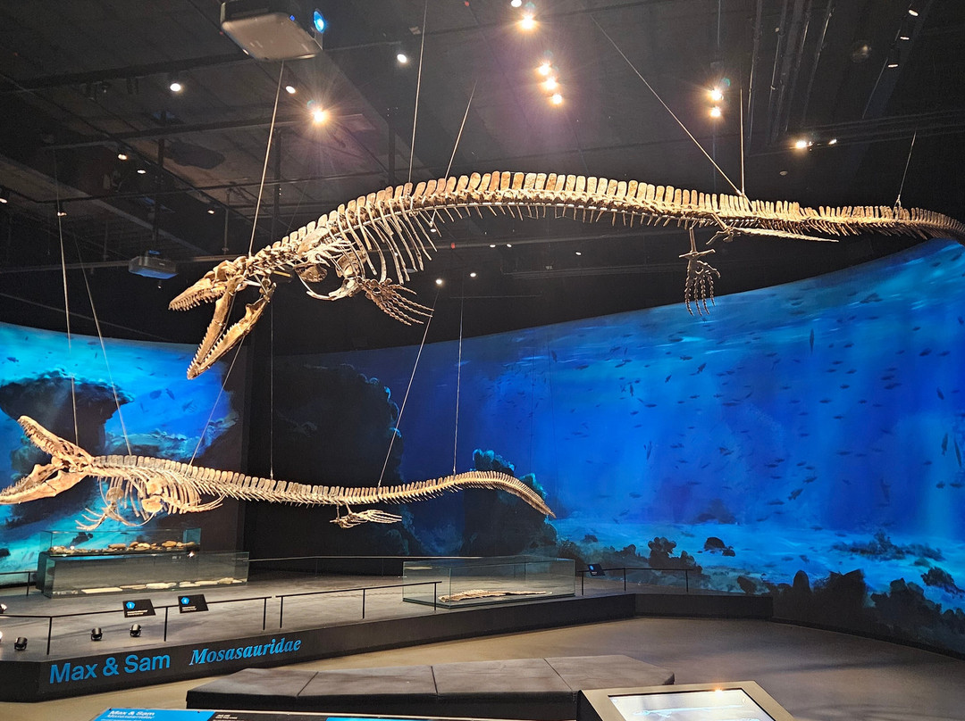 Dinosauria Museum Prague-Tuchomerice必去景点