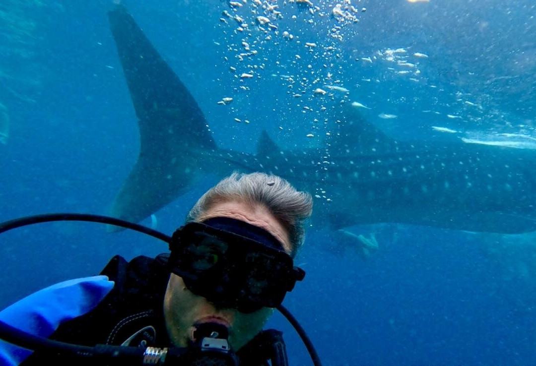 Emoha Dive Resort主图