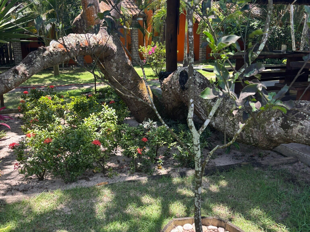 Pousada Estrela do Mar主图