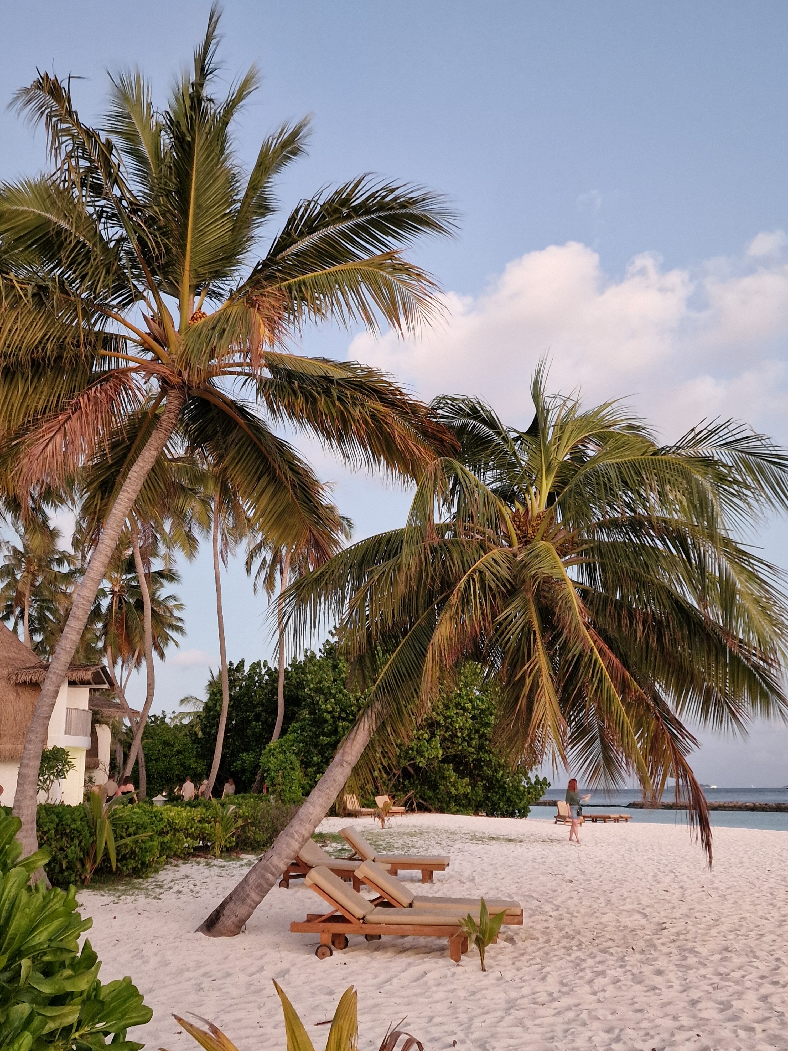 班多斯岛度假村-泳池