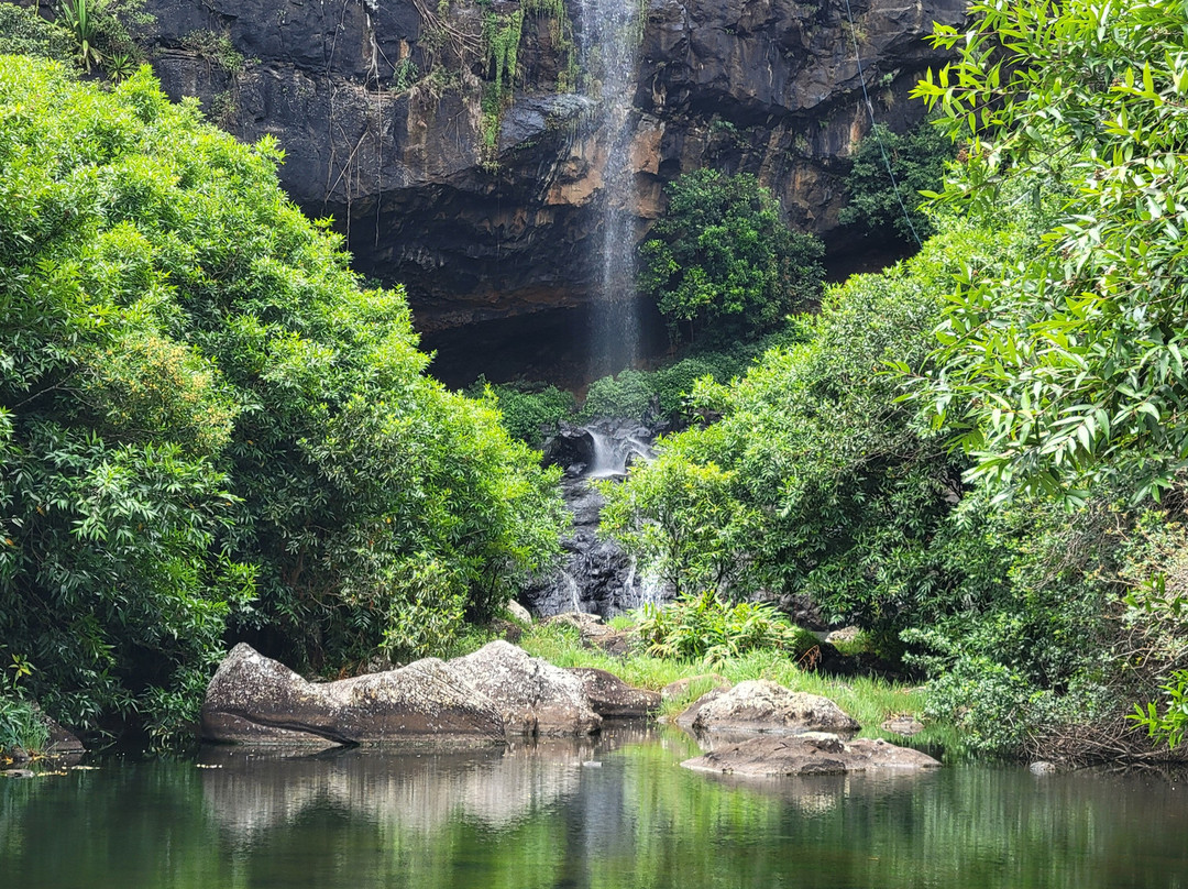 Yanature-黑河必去景点
