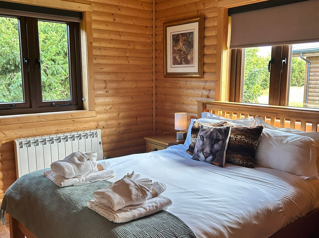 The Big Cat Sanctuary-Smarden必去景点