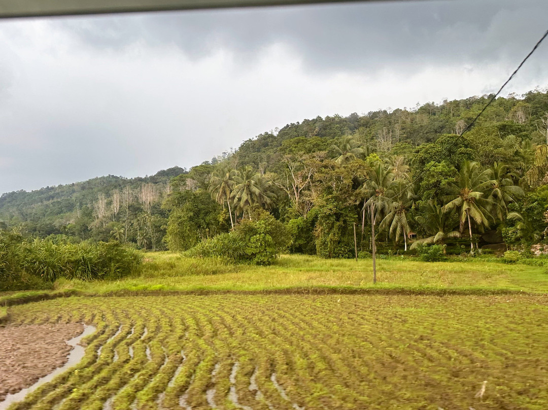 Travel J Sri Lanka-Thalawathugoda必去景点